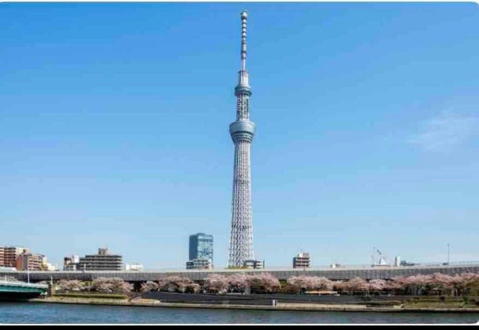 Momo Palace Tokyo Rom bilde